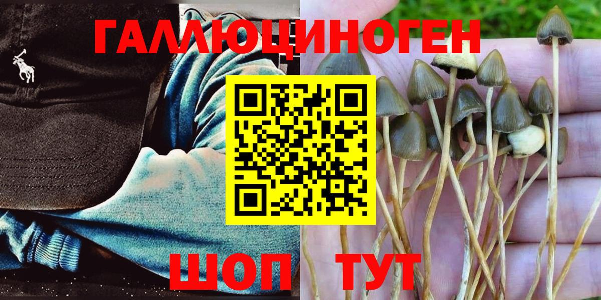 Галлюциногенные грибы Magic Shrooms  Галлюциногенные грибы Cubensis  Вход с VPN  Дзержинск 