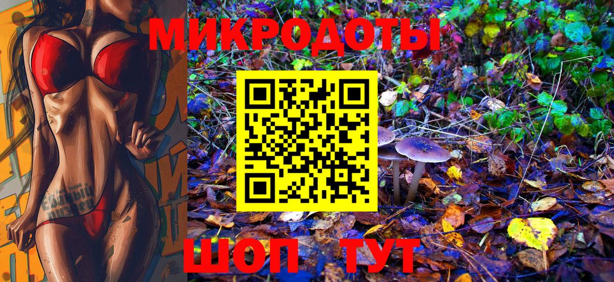 Псилоцибиновые грибы мицелий Дзержинск